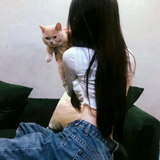 家,亲爱的家
